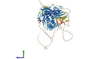 Protein Structure (PS) image for SH3-Domain Binding Protein 4 (SH3BP4) (AA 1-963) protein (His tag) (ABIN7555461)