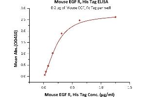 Immobilized Mouse EGF, Fc Tag (ABIN6731280,ABIN6809909) at 2 μg/mL (100 μL/well) can bind Mouse EGF R, His Tag (ABIN2181005,ABIN2181004) with a linear range of 0. (EGFR Protein (AA 25-647) (His tag))