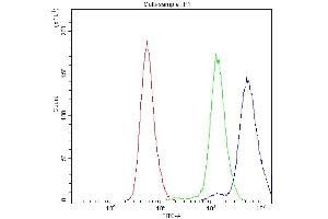 Flow Cytometry analysis of PC-3 cells using anti-Bcl-X antibody (ABIN4886480). (BCL2L1 Antikörper  (Middle Region))