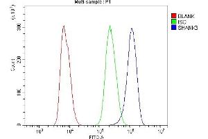 Flow Cytometry analysis of NRK cells using anti-SHANK3 antibody (ABIN7600006).