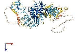 AlphaFold protein structure predicition of Human Recombinant THAP9 Protein, UniprotID Q9H5L6