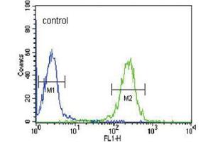 Flow Cytometry (FACS) image for anti-Folate Receptor 2 (Fetal) (FOLR2) antibody (ABIN3002210)