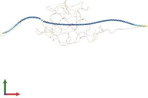 AlphaFold protein structure predicition of Mouse Recombinant Mtus2 Protein, UniprotID Q3UHD3 (CAZIP Protein (AA 1-1353) (His tag))