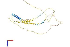 DBNDD2 Protein (AA 1-259) (His tag)