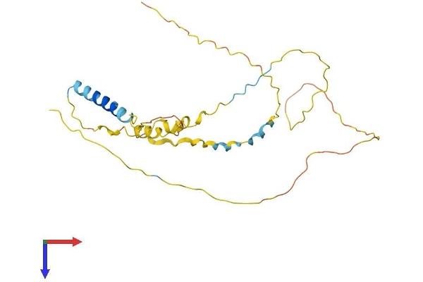 DBNDD2 Protein (AA 1-259) (His tag)