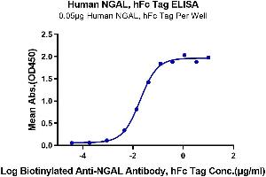 ELISA image for Lipocalin 2 (LCN2) (AA 21-198) protein (Fc Tag) (ABIN7275321)