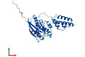 Protein Structure (PS) image for DnaJ (Hsp40) Homolog, Subfamily C, Member 27 (DNAJC27) (AA 1-273) protein (His tag) (ABIN7547059)