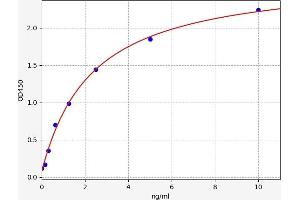 Neuregulin 2 (NRG2) ELISA Kit