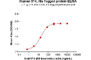 ELISA image for Trophoblast Glycoprotein (TPBG) (AA 32-355) protein (His tag) (ABIN6964086)