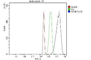 Flow Cytometry analysis of HL-60 cells using anti-MCM6 antibody (ABIN7600038). (MCM6 Antikörper  (AA 14-821))
