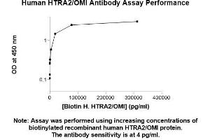 Image no. 1 for anti-HtrA Serine Peptidase 2 (HTRA2) (AA 134-458) antibody (ABIN5565372) (HTRA2 Antikörper  (AA 134-458))