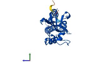 Protein Structure (PS) image for Interferon Stimulated Exonuclease Gene 20kDa (ISG20) (AA 1-181) protein (His tag) (ABIN7548542)