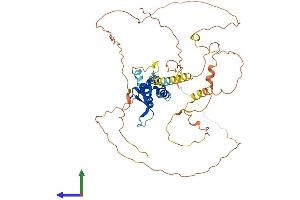 Protein Structure (PS) image for Forkhead Box D3 (FOXD3) (AA 1-465) protein (His tag) (ABIN7557654)