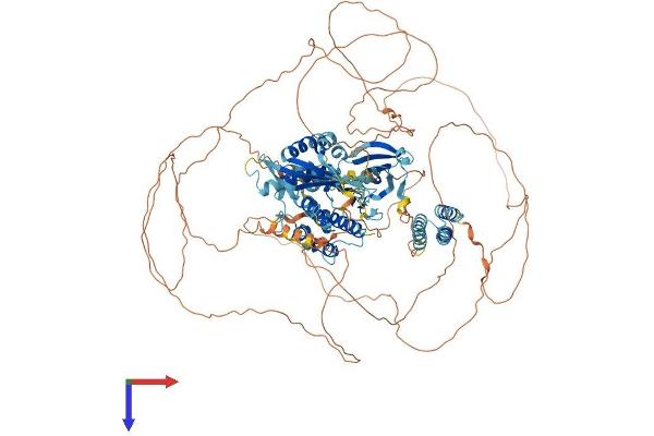 RPS6KC1 Protein (AA 1-1056) (His tag)