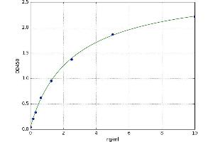 Peroxisomal Biogenesis Factor 2 (PEX2) ELISA Kit