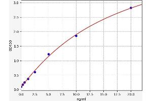 Typical standard curve (TGM1 ELISA Kit)