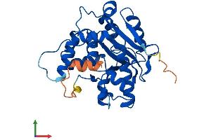 Protein Structure (PS) image for CCR4-NOT Transcription Complex, Subunit 7 (CNOT7) (AA 1-285) protein (His tag) (ABIN7553487)