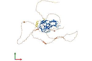Protein Structure (PS) image for T-Box 5 (TBX5) (AA 1-518) protein (His tag) (ABIN7556697)