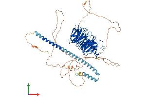 Protein Structure (PS) image for Transducin-Like Enhancer Protein 2 (TLE2) (AA 1-743) protein (His tag) (ABIN7555790)