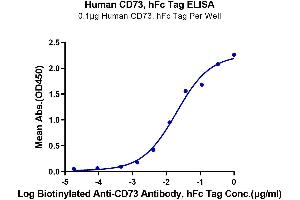ELISA image for 5'-Nucleotidase, Ecto (CD73) (NT5E) (AA 27-547) protein (Fc Tag) (ABIN7274228)