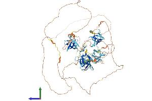 Protein Structure (PS) image for SH3 Domain Containing 19 (SH3D19) (AA 1-790) protein (His tag) (ABIN7555477)