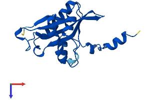SAT1 Protein (AA 1-171) (His tag)