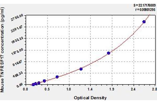 BCMA ELISA Kit