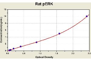 Diagramm of the ELISA kit to detect Rat pERKwith the optical density on the x-axis and the concentration on the y-axis. (Phospho-Extracellular Signal-Regulated Kinase ELISA Kit)