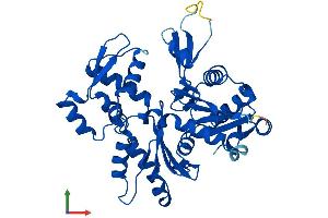 Protein Structure (PS) image for Actin, gamma 1 (ACTG1) (AA 1-375) protein (His tag) (ABIN7556653)