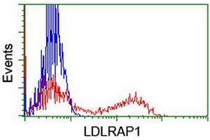 Flow Cytometry (FACS) image for anti-Low Density Lipoprotein Receptor Adaptor Protein 1 (LDLRAP1) antibody (ABIN1496685) (LDLRAP1 Antikörper)