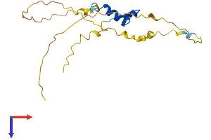 CITED4 Protein (AA 1-184) (His tag)