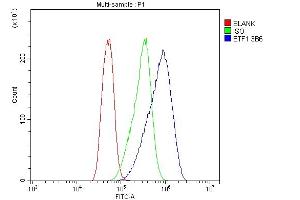 Flow Cytometry analysis of CACO-2 cells using anti- eRF1/ETF1 antibody (ABIN7602625). (ETF1 Antikörper  (AA 9-342))