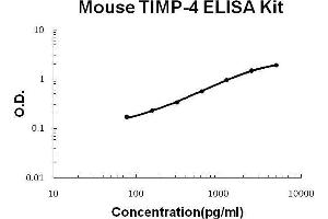 Mouse TIMP-4 PicoKine ELISA Kit standard curve
