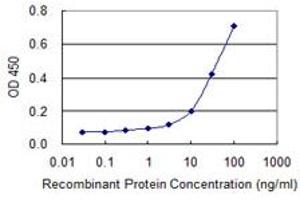 Detection limit for recombinant GST tagged BCL2L14 is 1 ng/ml as a capture antibody. (BCL2L14 Antikörper  (AA 1-327))