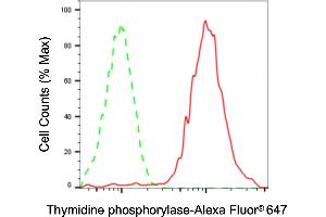 Flow cytometric analysis of Thymidine phosphorylase expression in HaCaT cells using Thymidine phosphorylase antibody (ABIN7800552), 1:2,000). (Thymidine Phosphorylase Antikörper)