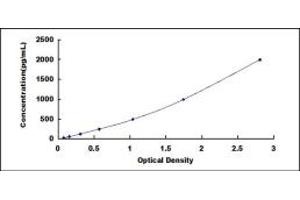 Typical standard curve (IgA ELISA Kit)