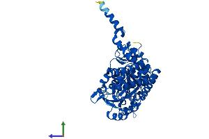 Protein Structure (PS) image for serine Hydroxymethyltransferase 1 (Soluble) (SHMT1) (AA 1-478) protein (His tag) (ABIN7563360)