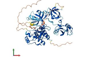 Protein Structure (PS) image for Fyn-Related Kinase (FRK) (AA 1-512) protein (His tag) (ABIN7560228)