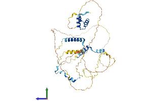 Protein Structure (PS) image for Nucleolar and Spindle Associated Protein 1 (NUSAP1) (AA 1-427) protein (His tag) (ABIN7561436)