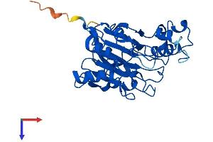MPPED2 Protein (AA 1-294) (His tag)