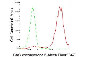 Flow cytometric analysis of BAG cochaperone 6 expression in HepG2 cells using BAG cochaperone 6 antibody (ABIN7800912), 1:2,000). (Rekombinanter BAG Cochaperone 6 Antikörper)