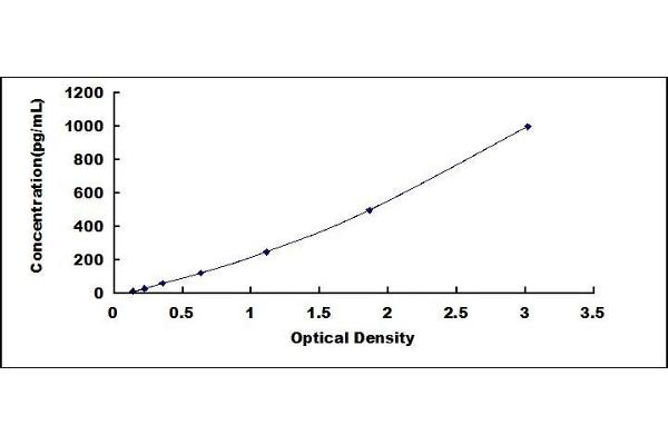 CXCL10 ELISA Kit