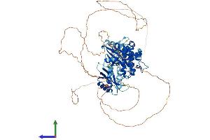 Protein Structure (PS) image for MAP/microtubule Affinity-Regulating Kinase 2 (MARK2) (AA 1-788) protein (His tag) (ABIN7554502)