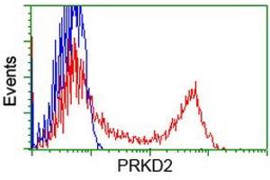 Flow Cytometry (FACS) image for anti-Protein Kinase D2 (PKD2) antibody (ABIN1500414) (PKD2 Antikörper)