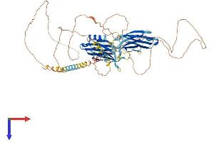 SYT16 Protein (AA 1-645) (His tag)