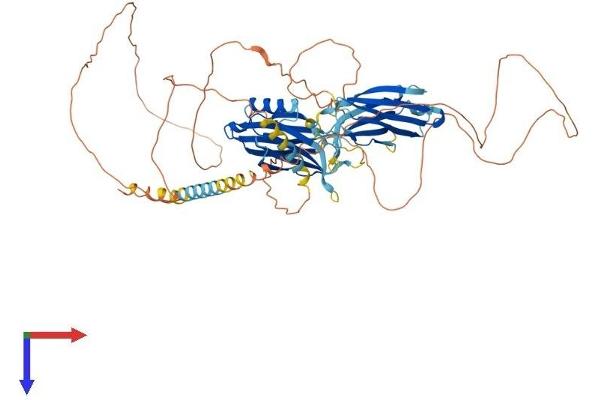 SYT16 Protein (AA 1-645) (His tag)