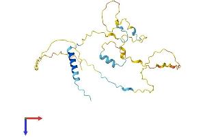 CDCA5 Protein (AA 1-252) (His tag)