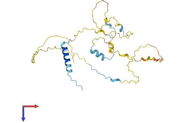 CDCA5 Protein (AA 1-252) (His tag)