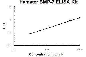 Hamster BMP-7 PicoKine ELISA Kit standard curve