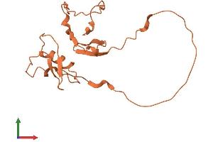 AlphaFold protein structure predicition of Human Recombinant LINC00528 Protein, UniprotID Q8N1L1